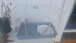 Jaula para pájaros casi nueva