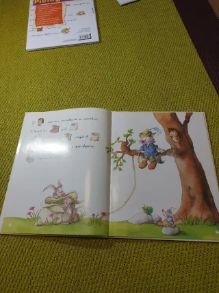 Lote de 5 libros de pictogramas