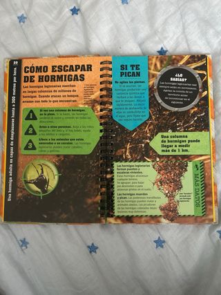 Tu guía de supervivencia NE