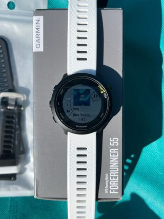 Reloj Garmin Forerunner 55