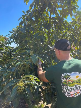 Jardinero profesional -Oferta Lanzamiento-