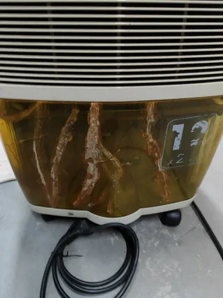 Deshumidificador Delonghi DEC 12