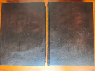 Don Quijote de la Mancha 2 tomos ediciones Rueda.