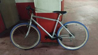 Bicicleta de montaña plateada