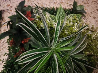 Jardín Vertical 2 Piezas 120x40cm