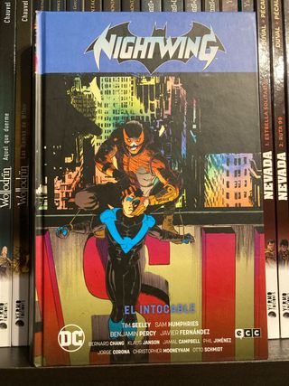Nightwing vol. 2: El intocable