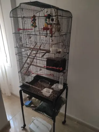 Jaula para agapornis y pájaros pequeños