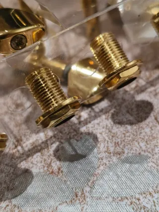 Clavijero Jackson L6 Dorado