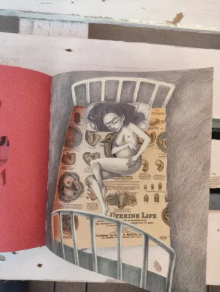 Frida (Spanish Edition)