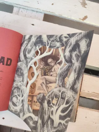 Frida (Spanish Edition)