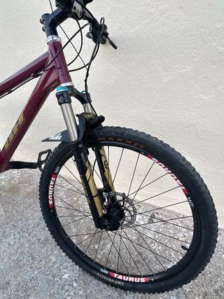 Chollo !!!! Bicicleta Doble BH