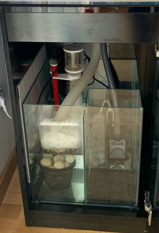 Acuario Marino Completo Negro y Transparente