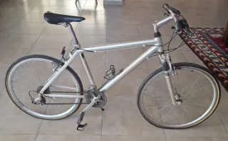 Bicicleta de montaña plateada