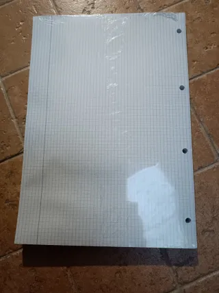 Recambio A4 100 hojas 4 taladros 6 unidades