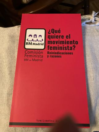 Que quiere el mivimiento feminista?