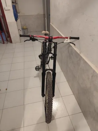 Bicicleta de Descenso