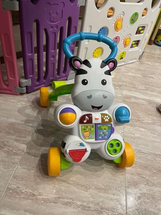 Corre pasillos cebra musical