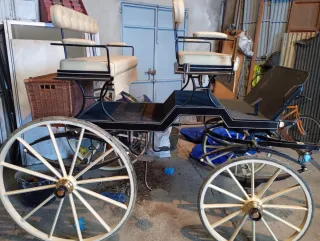 Coche de caballos tipo buggy
