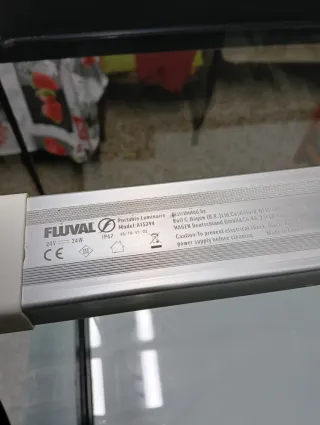 Acuario Fluval Roma 240L con Filtro