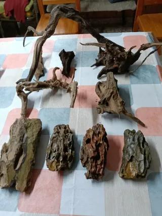 Acuario Fluval Roma 240L con Filtro