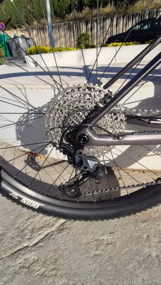 Bicicleta Orbea Alma