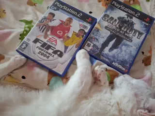 PlayStation 2 Negra + 10 Juegos