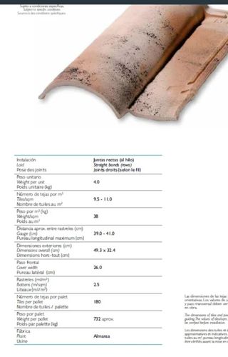 Lote 150 Tejas Almansa 10