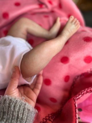 Bebé Reborn realista