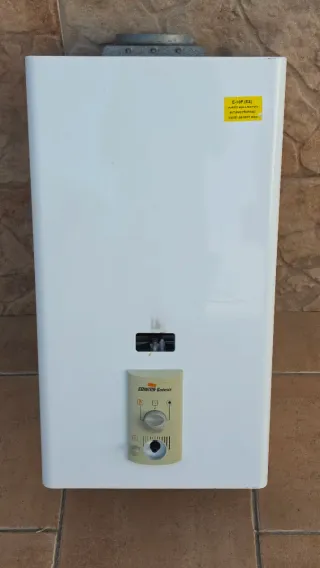 Calentador Gas Cointra Godesia E-10P