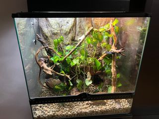 Terrario 60x45x60 con mueble