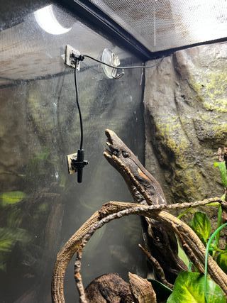 Terrario 60x45x60 con mueble