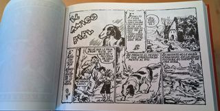 Colección Cómics AZUCENA