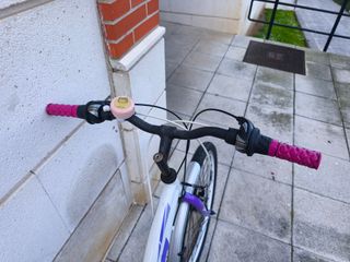 Bicicleta infantil DTB 24 morada y blanca