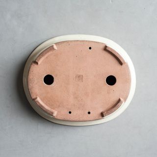 Maceta Bonsai - SHOHUZAN - 25cm