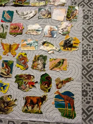 Cromos Antiguos Animales Años 70
