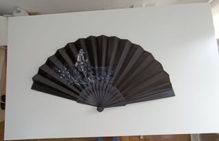 Set di ventagli decorativi