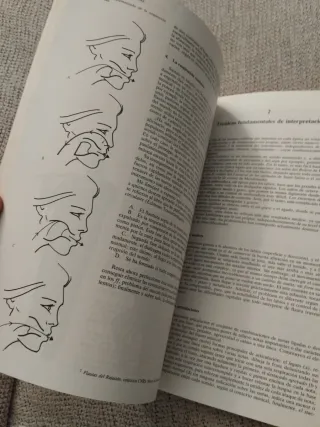 La Flauta - Pierre Yves Artaud