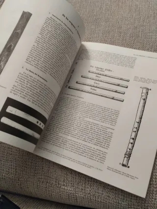 La Flauta - Pierre Yves Artaud