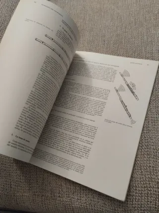 La Flauta - Pierre Yves Artaud