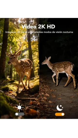 Cámara de vigilancia GNCC camuflaje, Solar