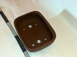 Maceta Bonsái yinxing