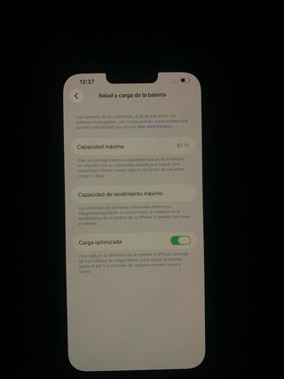 iPhone 13 Pro Max 81% Batería