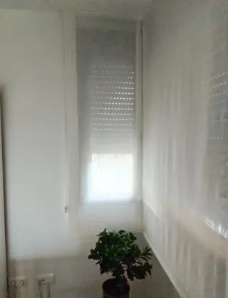 Estor paqueto blanco translúcido