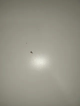 Estantería ahora está desmontada y guardada