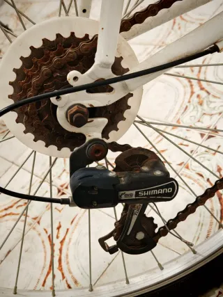 Bicicleta Montaña MTB