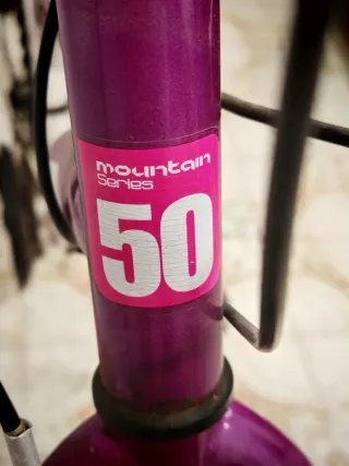 Bicicleta Montaña MTB