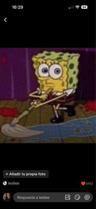 Soy paseadora de perros