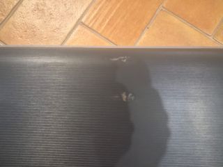 Step professionale regolabile