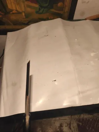 Navaja Afeitar Antigua Solingen #14 Ferd. Hoppe