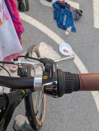 Bicicleta con silla para niños